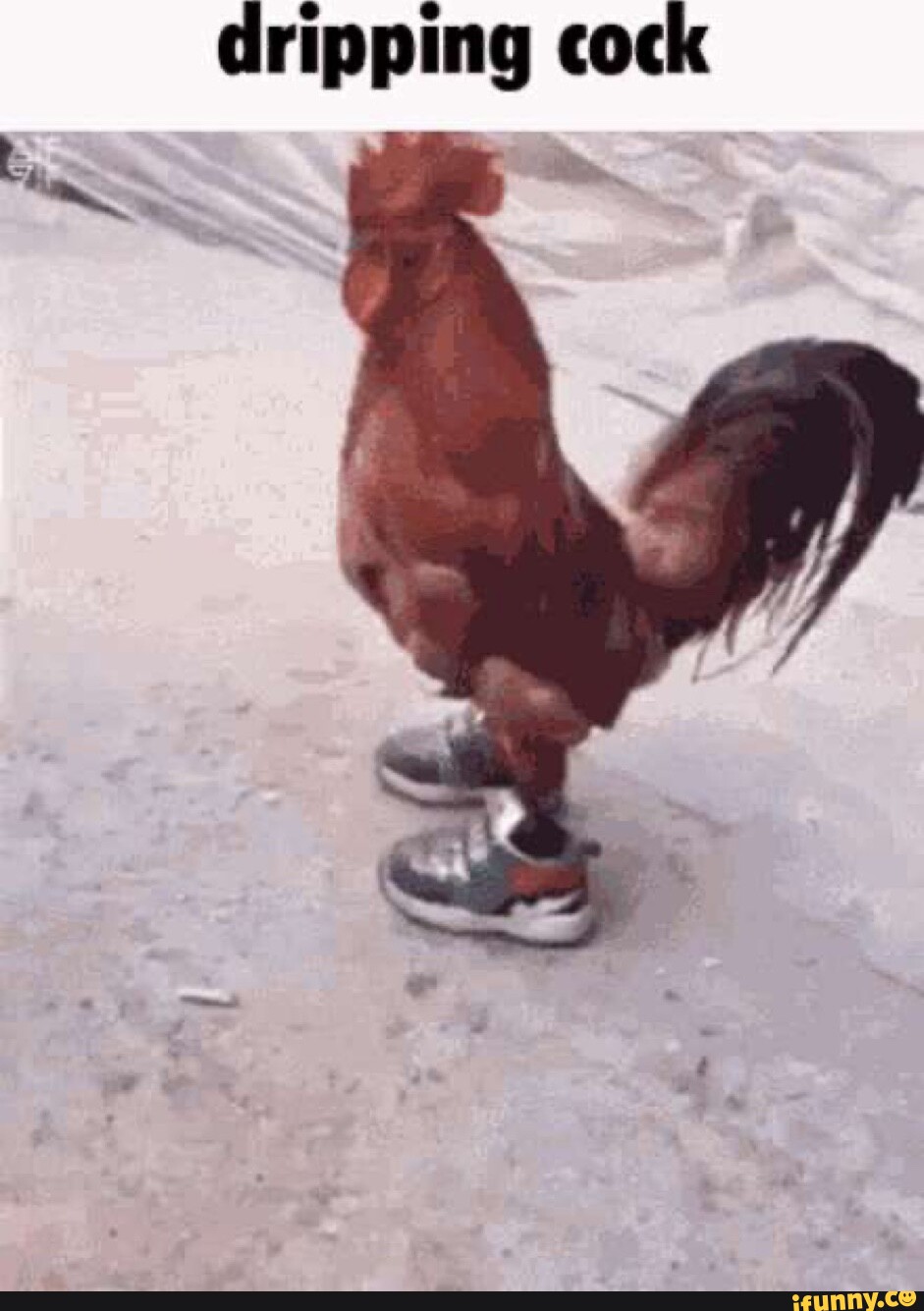 Dripping memes. Best Collection of funny Dripping pictures on iFunny