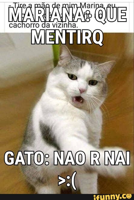 cachorro da vizinha. QUE
cachorro da vizinha.
GATO: NAO R'NAI