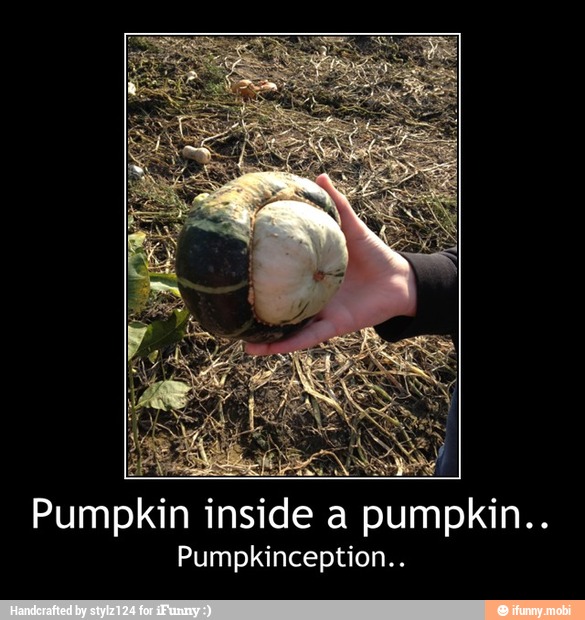 Pumpkin inside a pumpkin..
Pumpkinception.. - Pumpkin inside a pumpkin..
Pumpkinception..