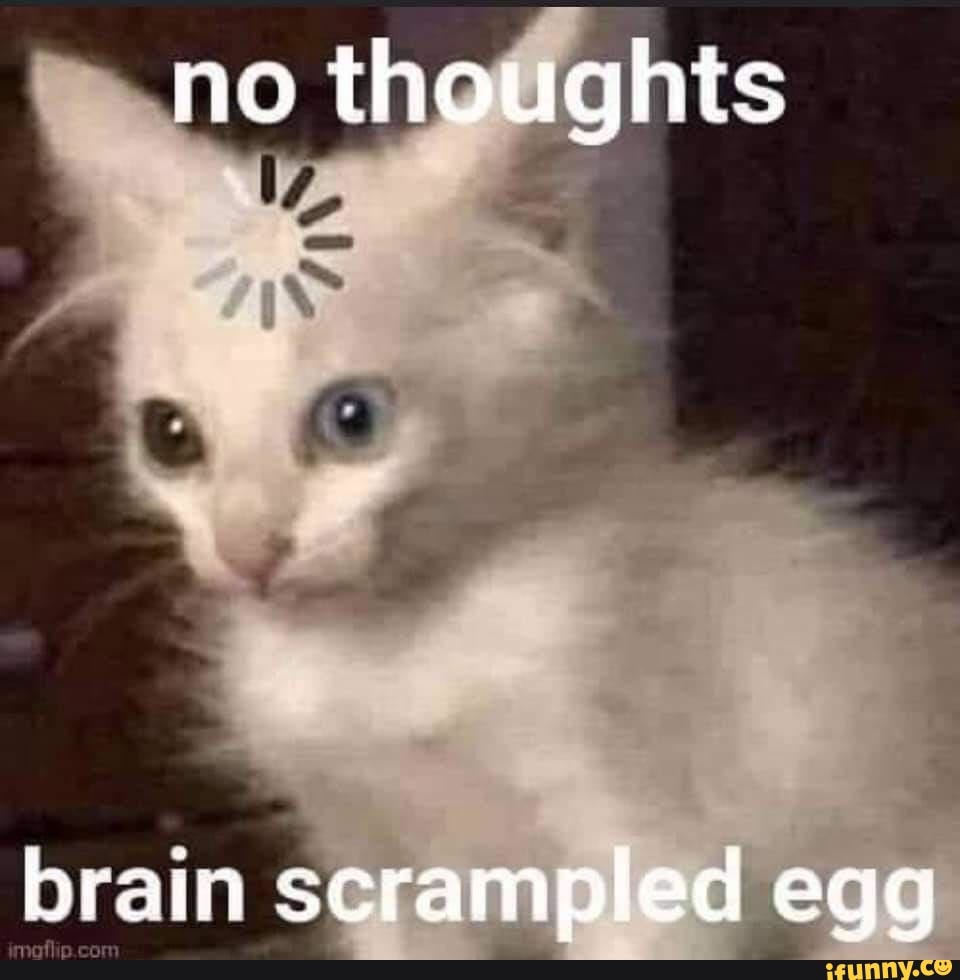 No Thoughts Brain Scrampled Egg