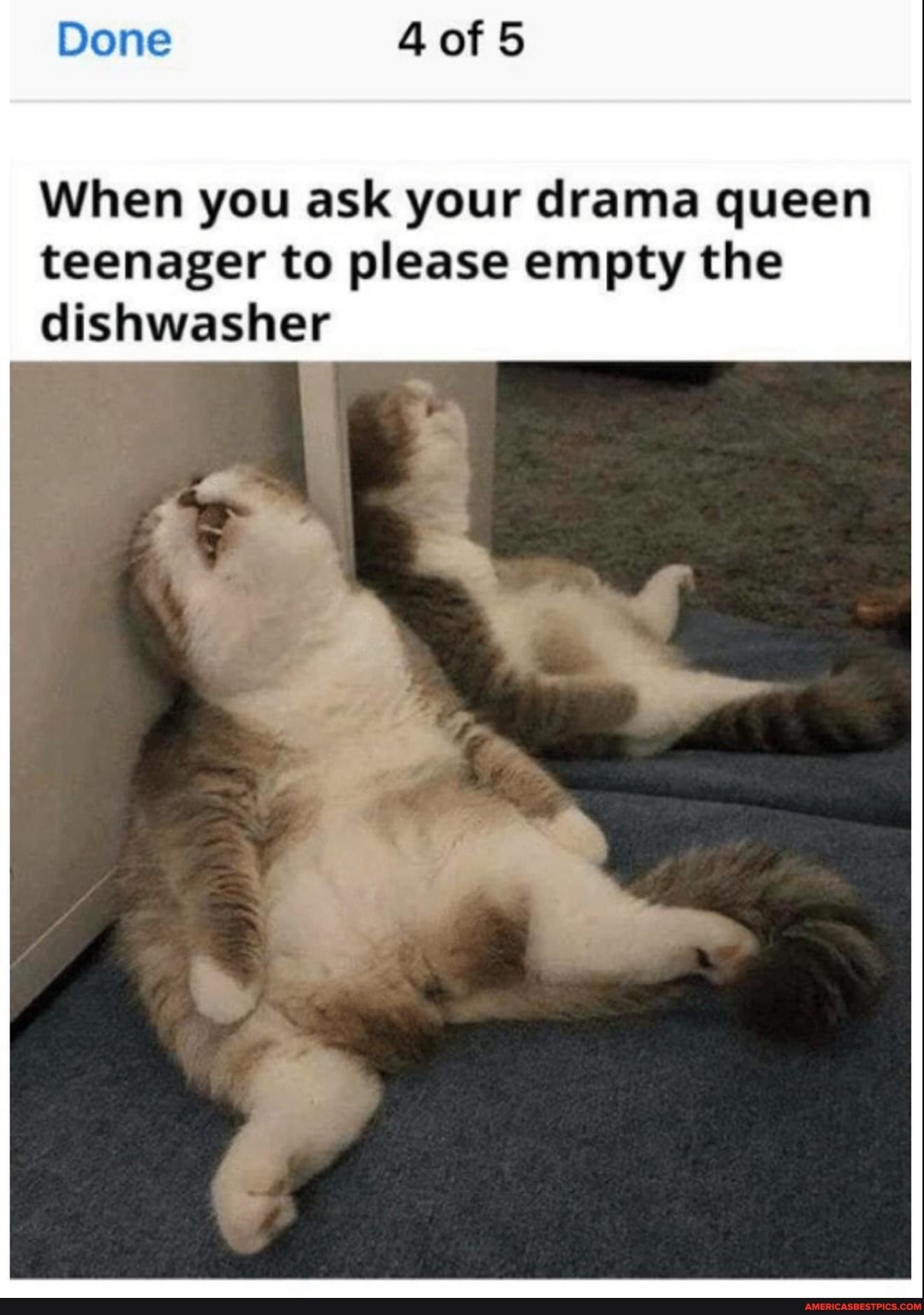 Done 4of5
When you ask your drama queen teenager to please empty the dishwasher