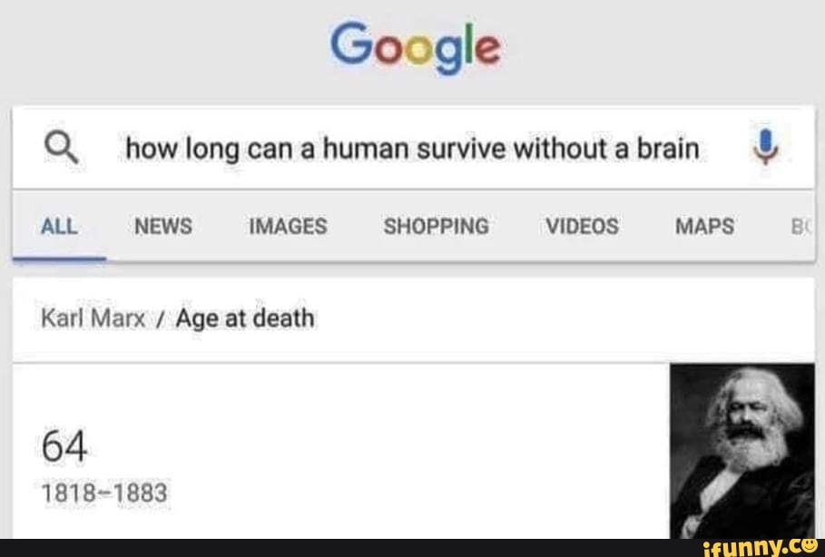 google-q-how-long-can-a-human-survive-without-a-brain-all-news-images