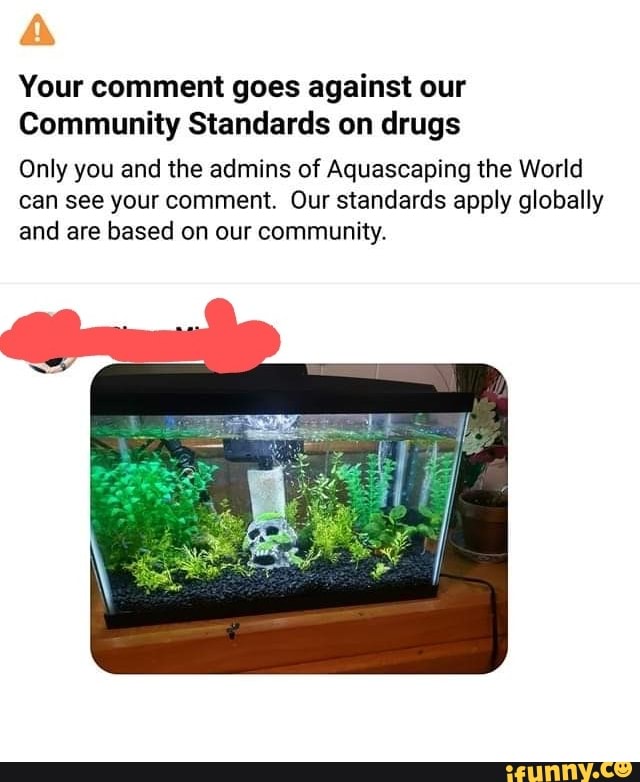 Aquascaping memes. Best Collection of funny Aquascaping pictures on iFunny
