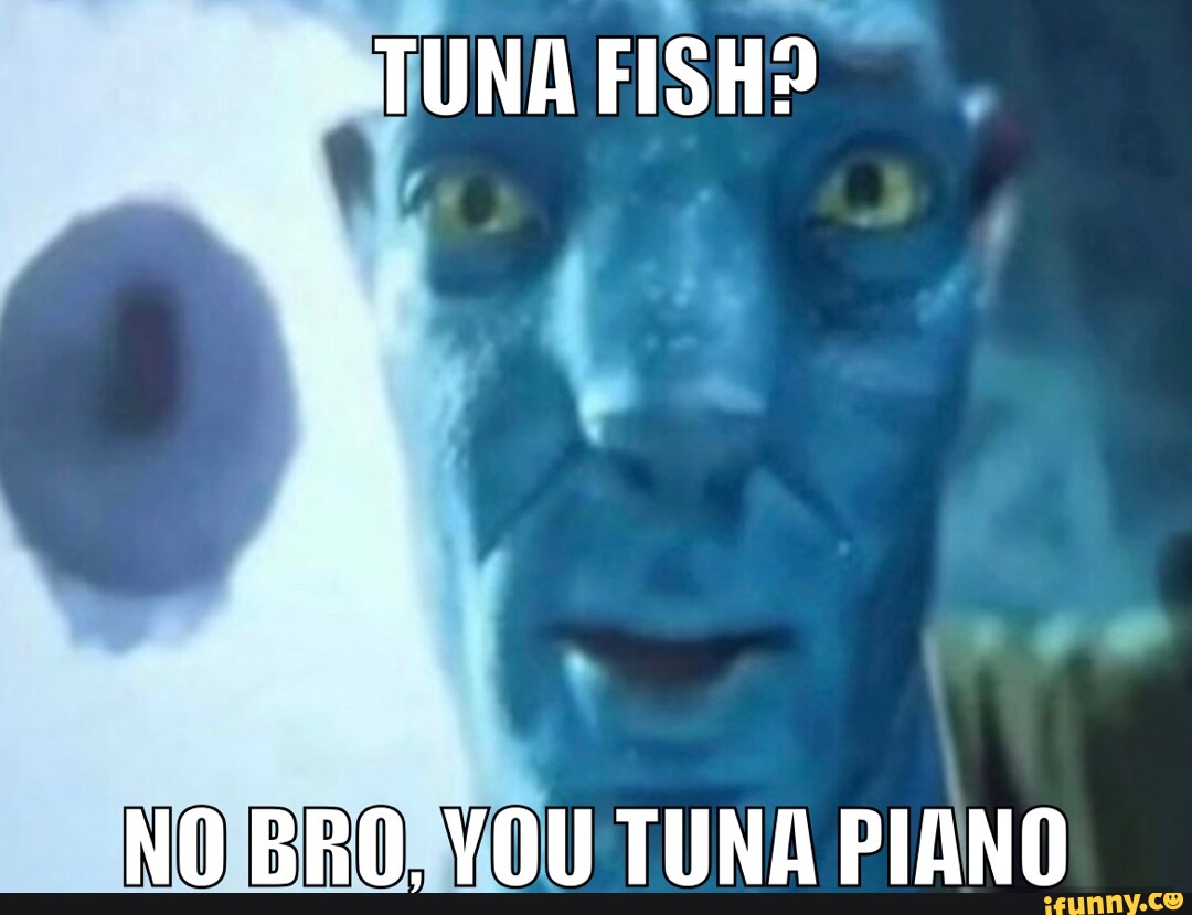 TUNA FISH? NO BRO. YOU TUNA PIANO iFunny