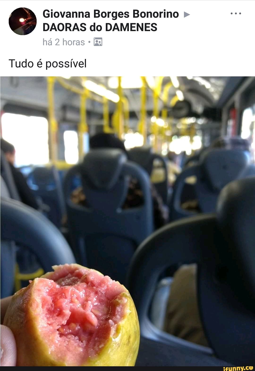 Giovanna Borges Bonorino
DAORAS do DAMENES
Tudo é possível