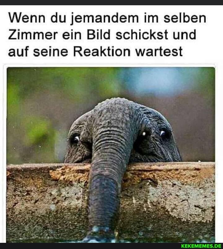 Wenn du jemandem im selben
Zimmer ein Bild schickst und auf seine Reaktion wartest