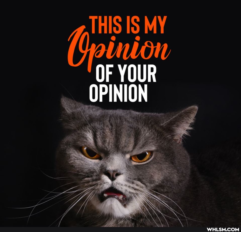 THIS IS MY OF YOUR
OPINION