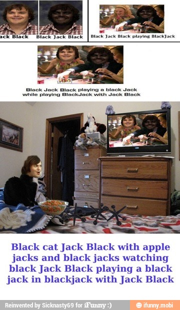 Black cat Jack Black with apple
jacks and black jacks watching
black Jack Black playing a black
jack in blackjack with Jack Black