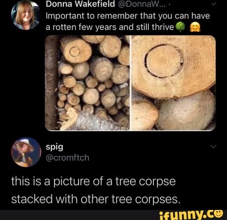 Donna Wakefield @DonnaW.
Important to remember that you can have a rotten few years and still thrive @
@cromftch
this is a picture of a tree corpse stacked with other tree corpses.