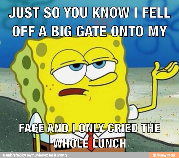JUST SO YOU KNOW I FELL
OFF A BIG GATE