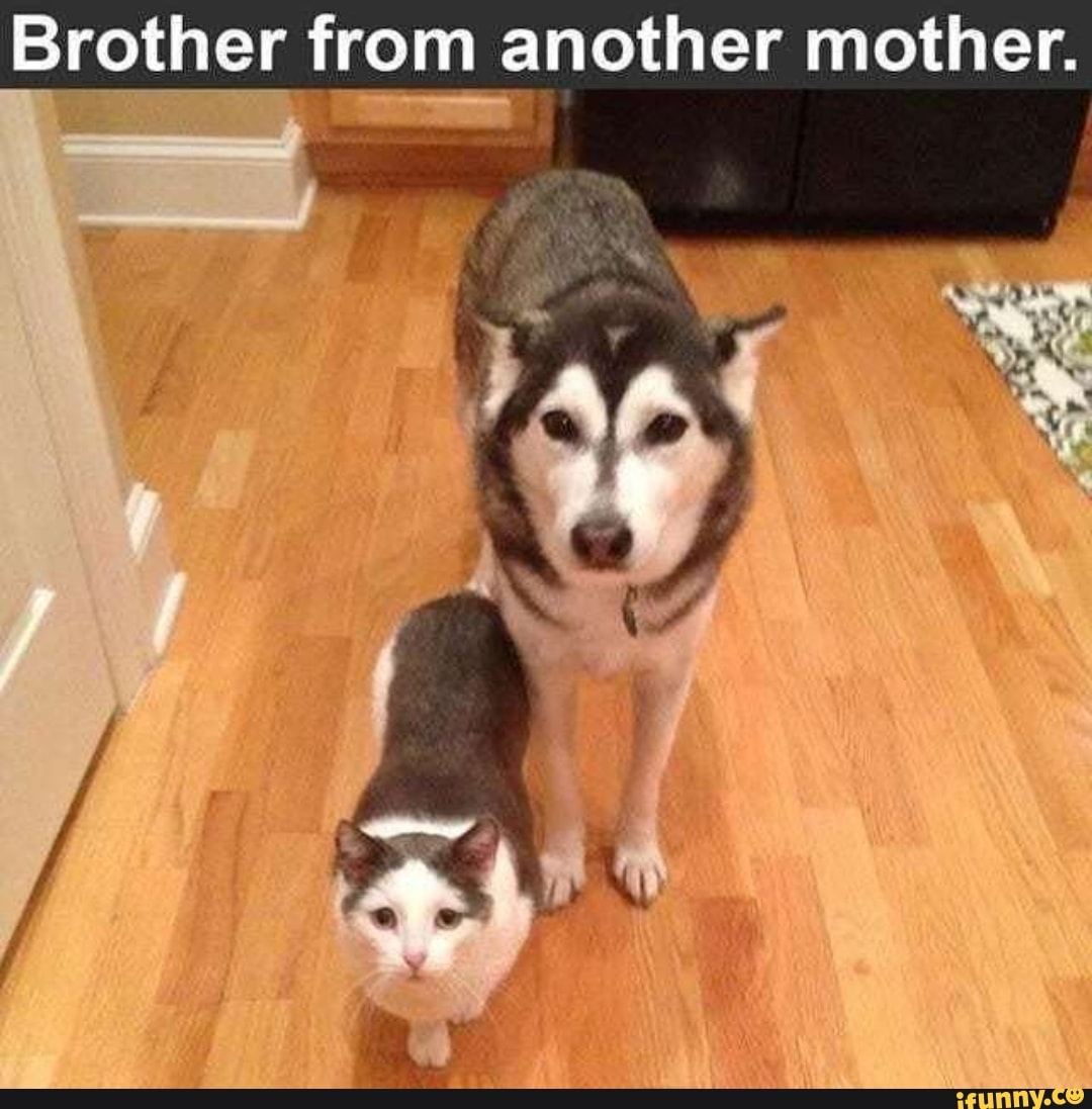 Brother from another mother.
.