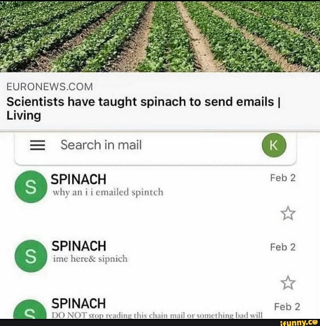 Scientists have taught spinach to send emails I Living Search in mail