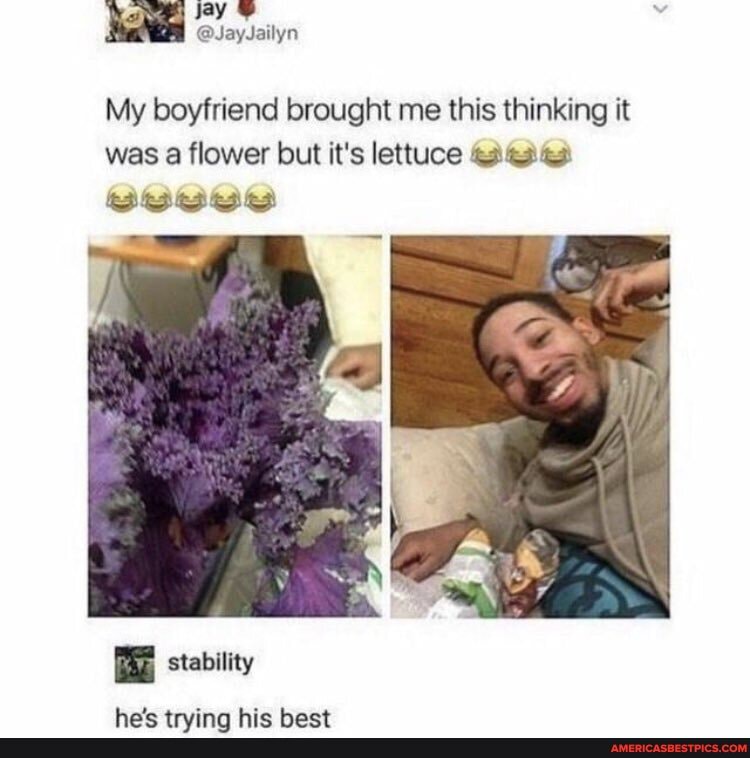 My boyfriend brought me this thinking it was a flower but it's lettuce
stability
