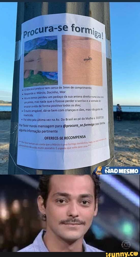 preto tem cerca de Smm de comprimento
Nárcio, Docinho, Mor
temos perdeu um pedaço da sua antena direta mas nada que fizesse perder o sorrisoea cara via de forma positiva todos os dias;
Emuioamigável, dá-se bem com crianças e cães, mas-
Piajormande mensagem para (procura. se formigo
"una nfomação pertinente.
OFERECE-SE RECOMPENSA
em cona qu Mário é un múlto apurados; Wrgente