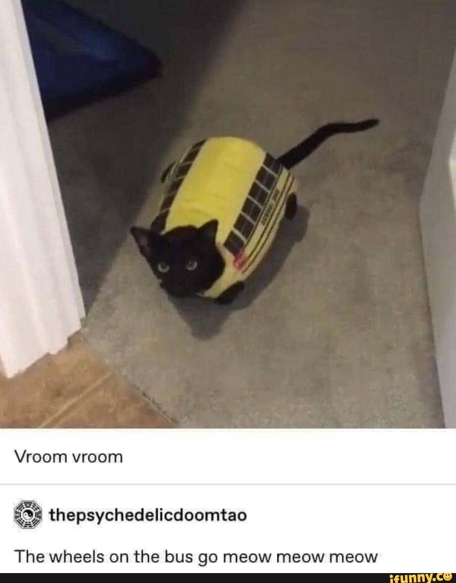 Lg Vroom vroon The wheels on the bus go meow meow meow - iFunny