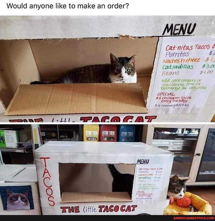 Would anyone like to make an order?
Ports.
jachos 1)
Catsadillas
Beans
SPECIAL-
emane PACACAP,