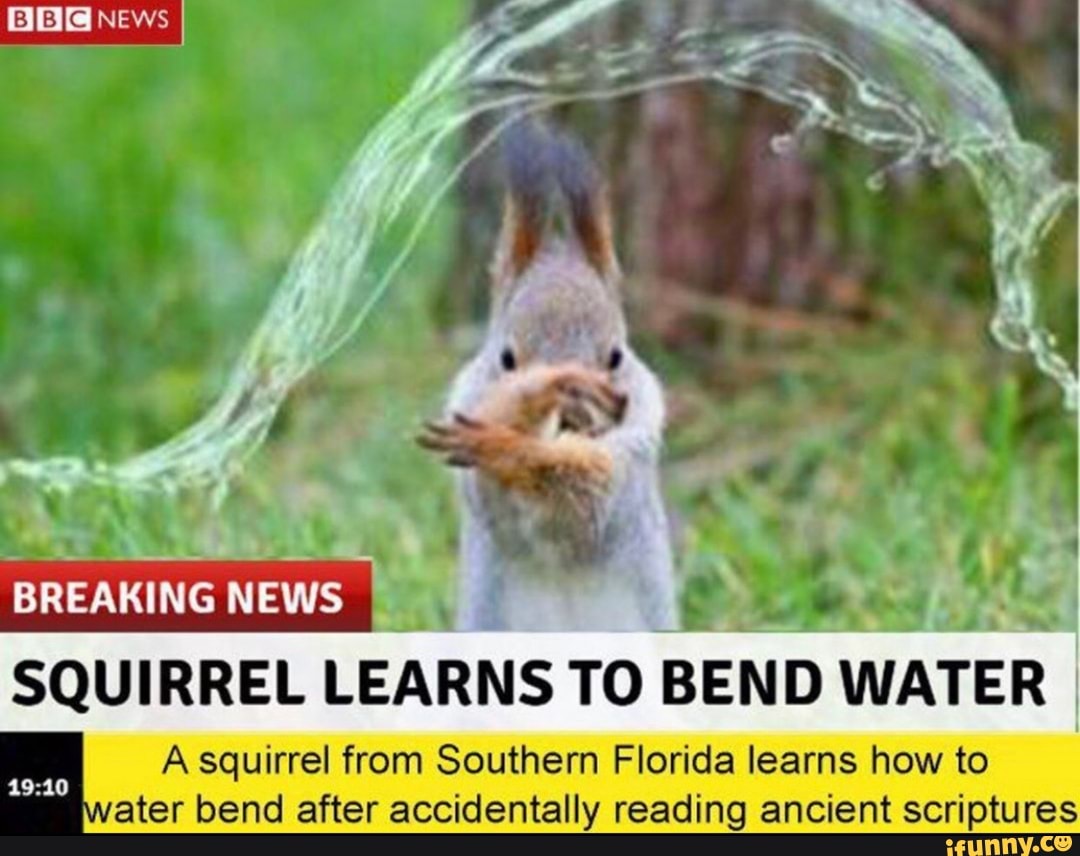 SQUIRREL LEARNS TO
BEND WATER
I
A squirrel from Southern Florida learns how to
ater bend after accidentally reading ancient scriptures