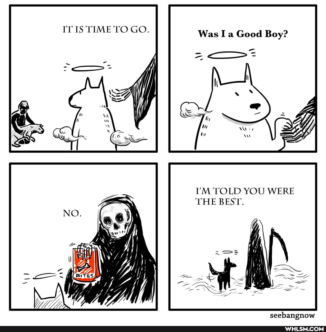 IT IS TIME TO GO.
Was I a Good Boy?
I'M TOLD YOU WERE THE BEST.
seebangnow