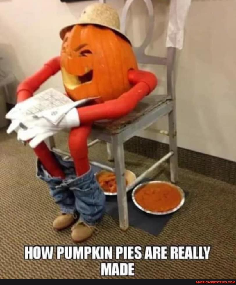 HOW PUMPKIN PIES MANE ARE REALLY MANE