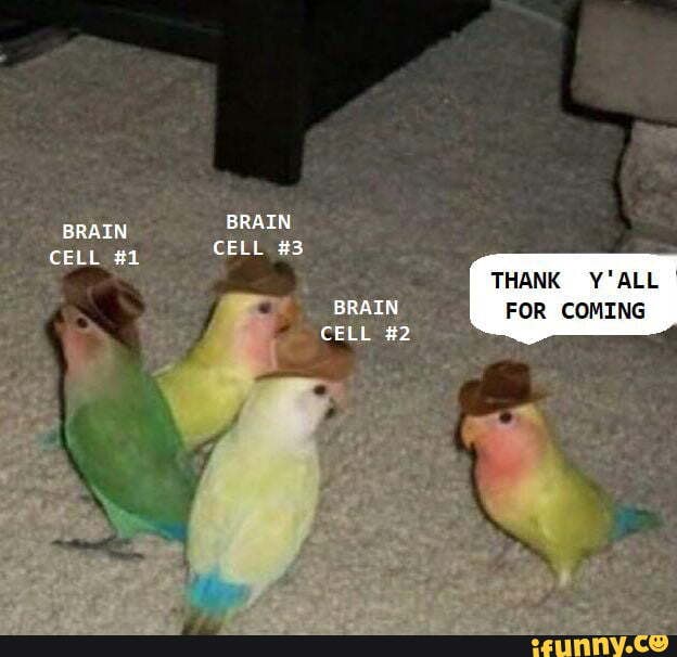 BRAIN CELL #1 BRAIN CELL #3 THANK Y'ALL BRAIN FOR COMING CELL #2 - )
