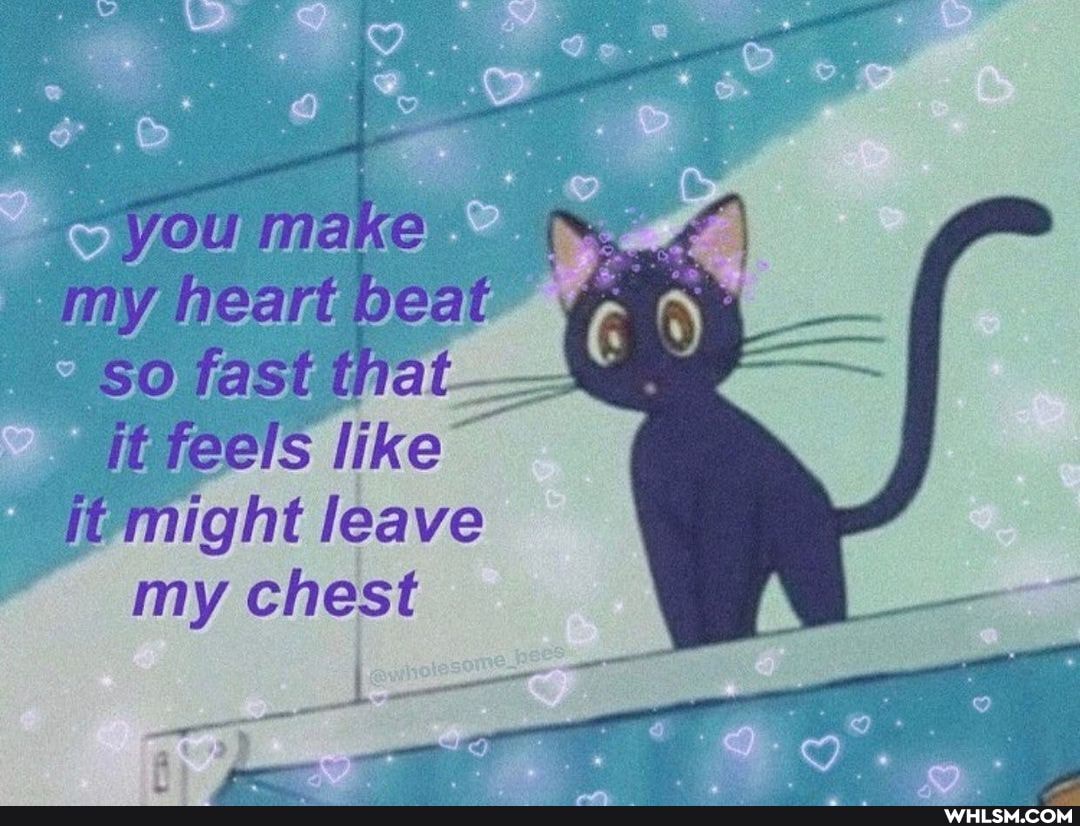 YOU
you make
my heart beat so fast that- it feels like
it might leave
my chest