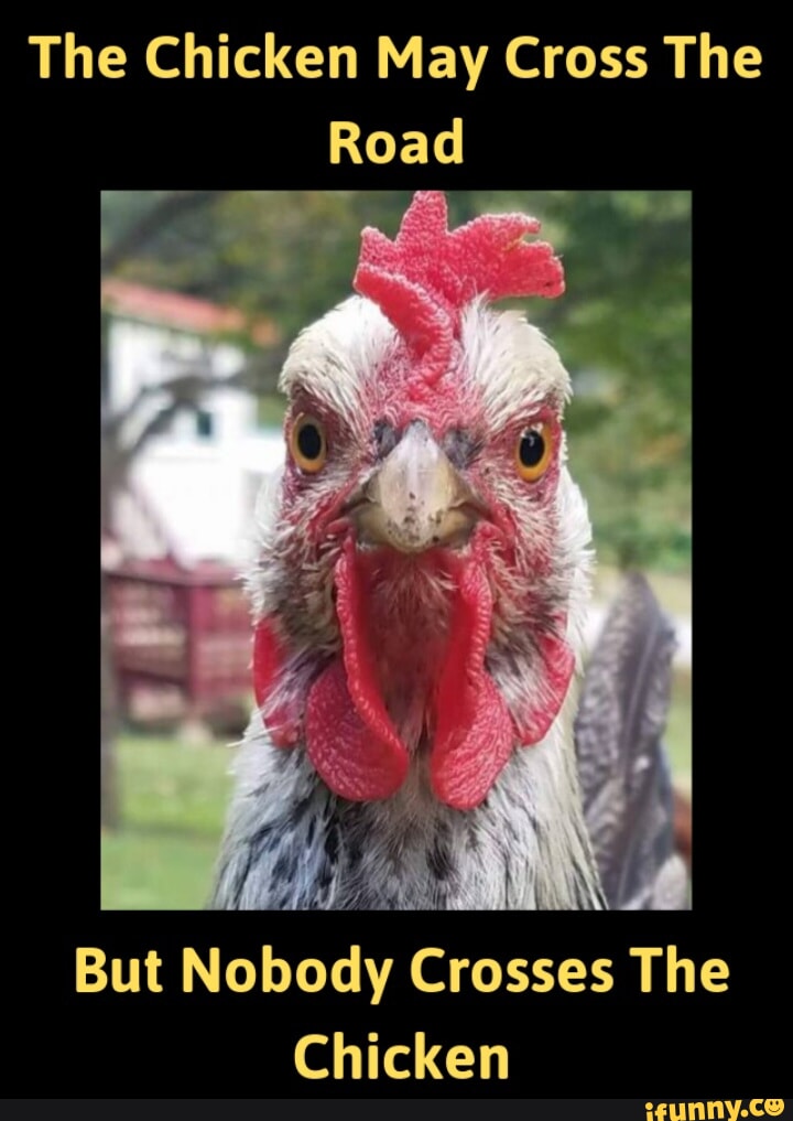 The Chicken May Cross The Road But Nobody Crosses The Chicken - iFunny