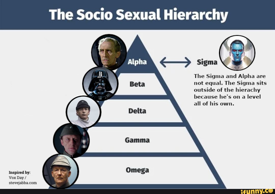 The Socio Sexual Hierarchy The Sigma And Alpha Are Not Equal The Sigma Sits Outside Of The 7816
