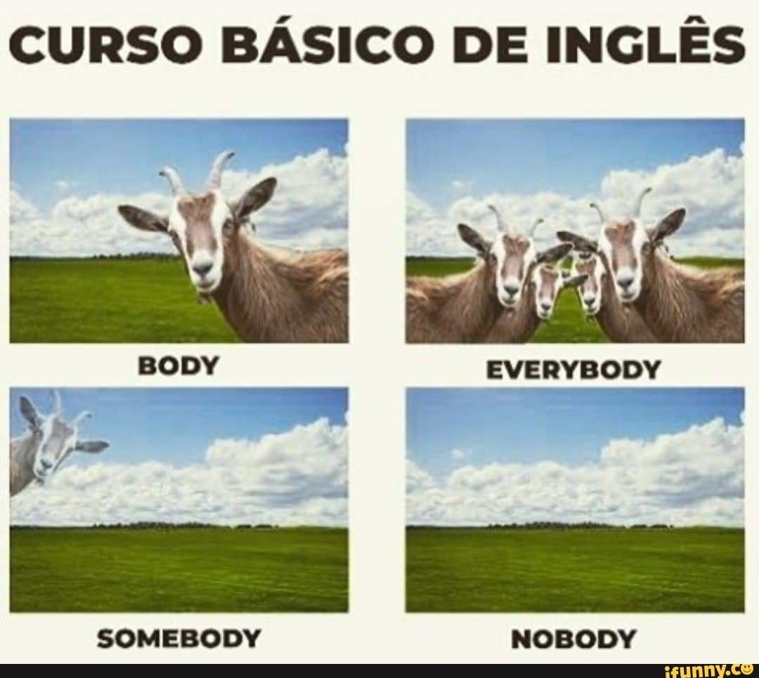 CURSO BÁSICO DE INGLÊS
BODY EVERYBODY
SOMEBODY