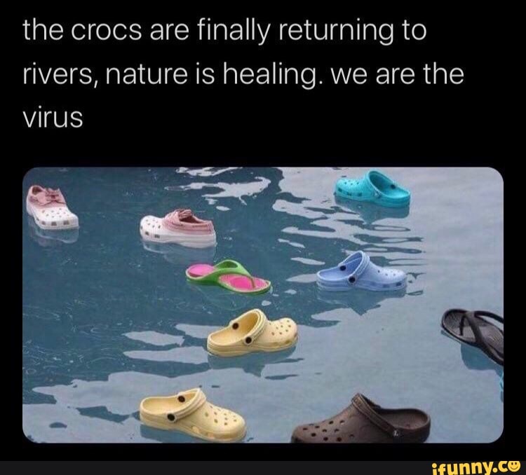 The crocs are finally returning to rivers, nature is healing. we are the  virus - iFunny