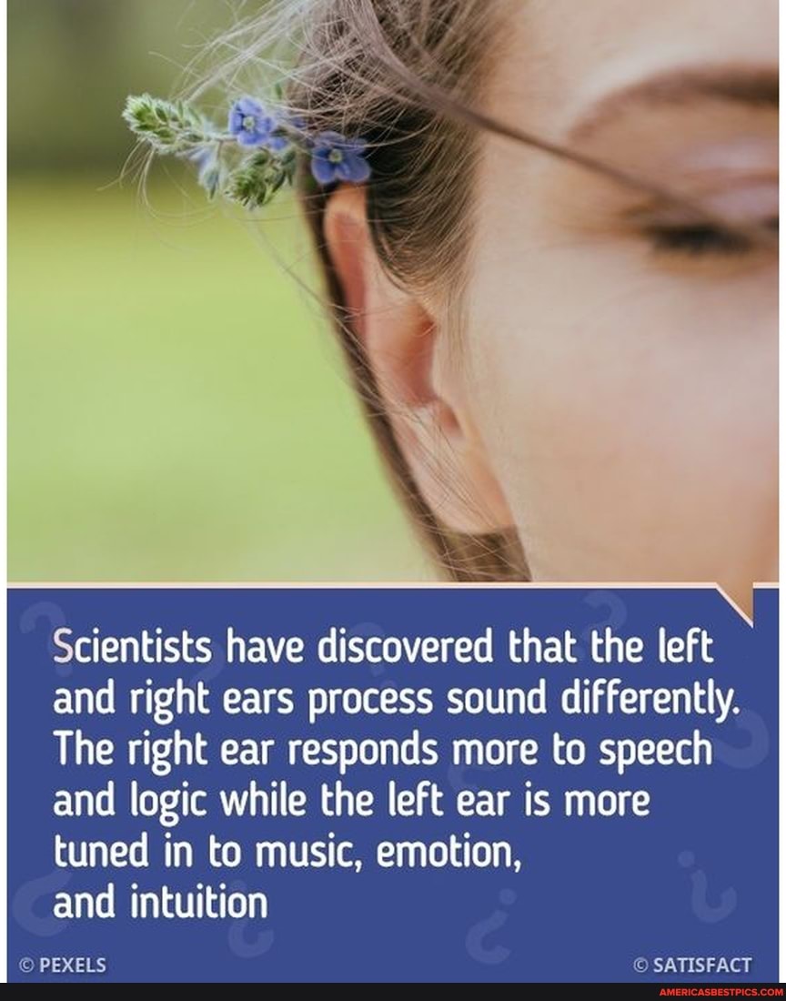 Scientists have discovered that the left and right ears process sound