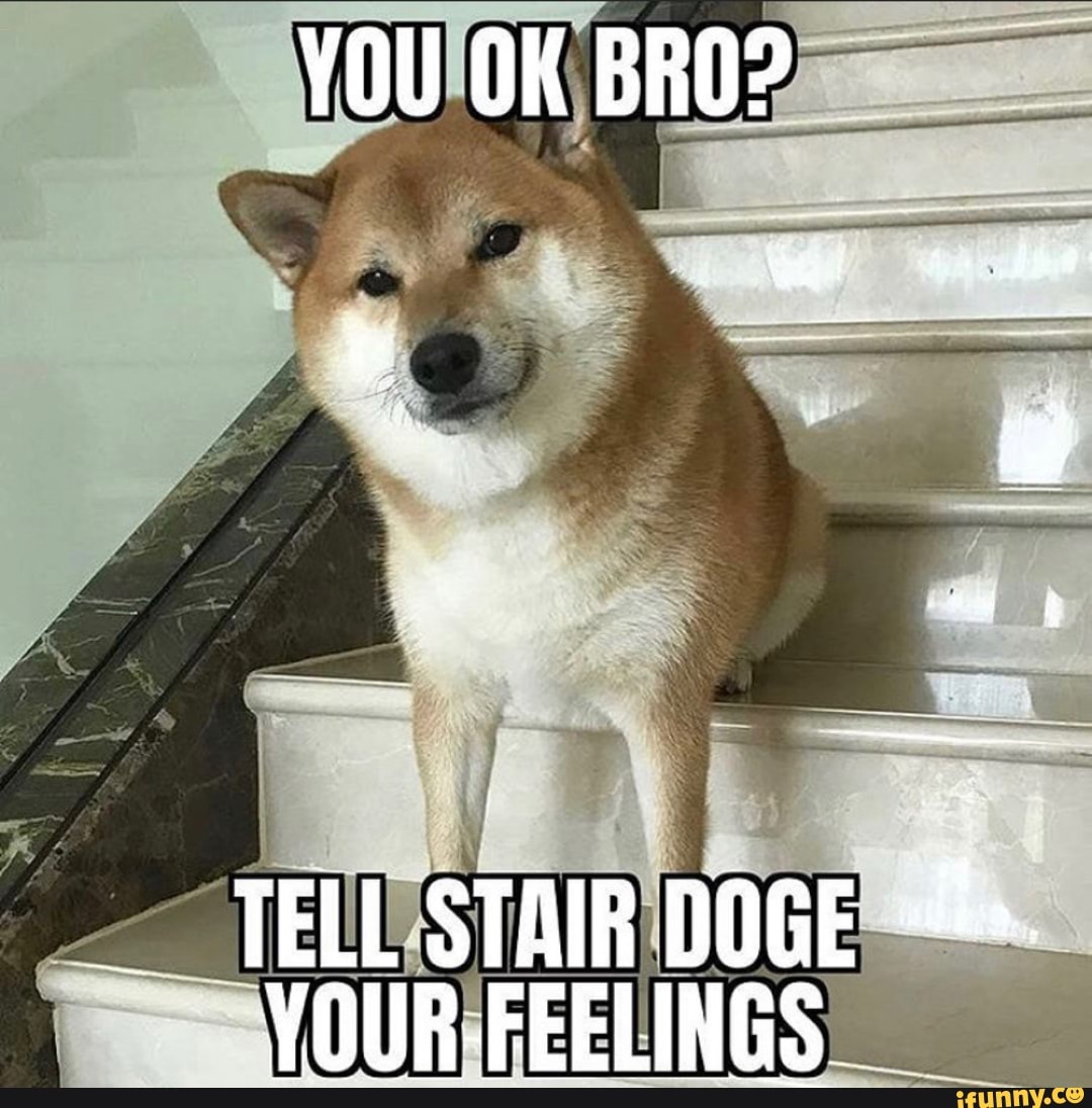 YOU OK BRO?
TELL STAIR DOGE YOUR-FEELINGS