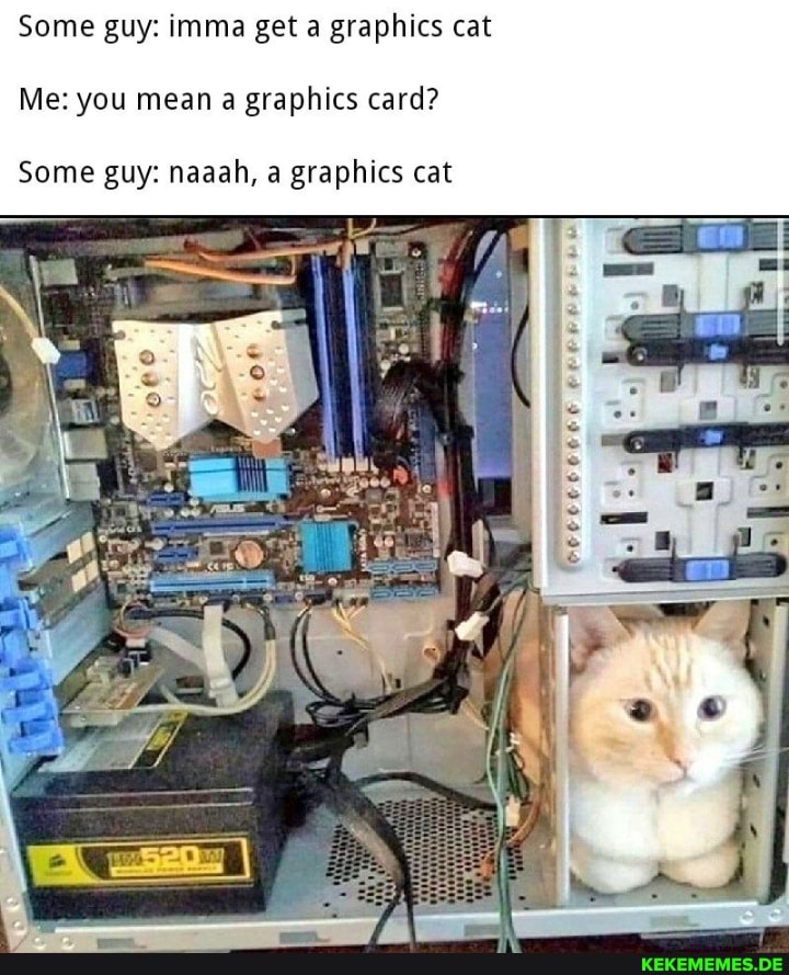 Some guy: imma get a graphics cat
Me: you mean a graphics card?
Some guy: naaah, a graphics cat
po