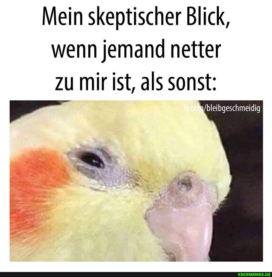 Mein skeptischer Blick, wenn jemand netter zu mir ist, als sonst: