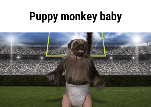 Dancing Puppy Monkey Baby Gif Apsgeyser