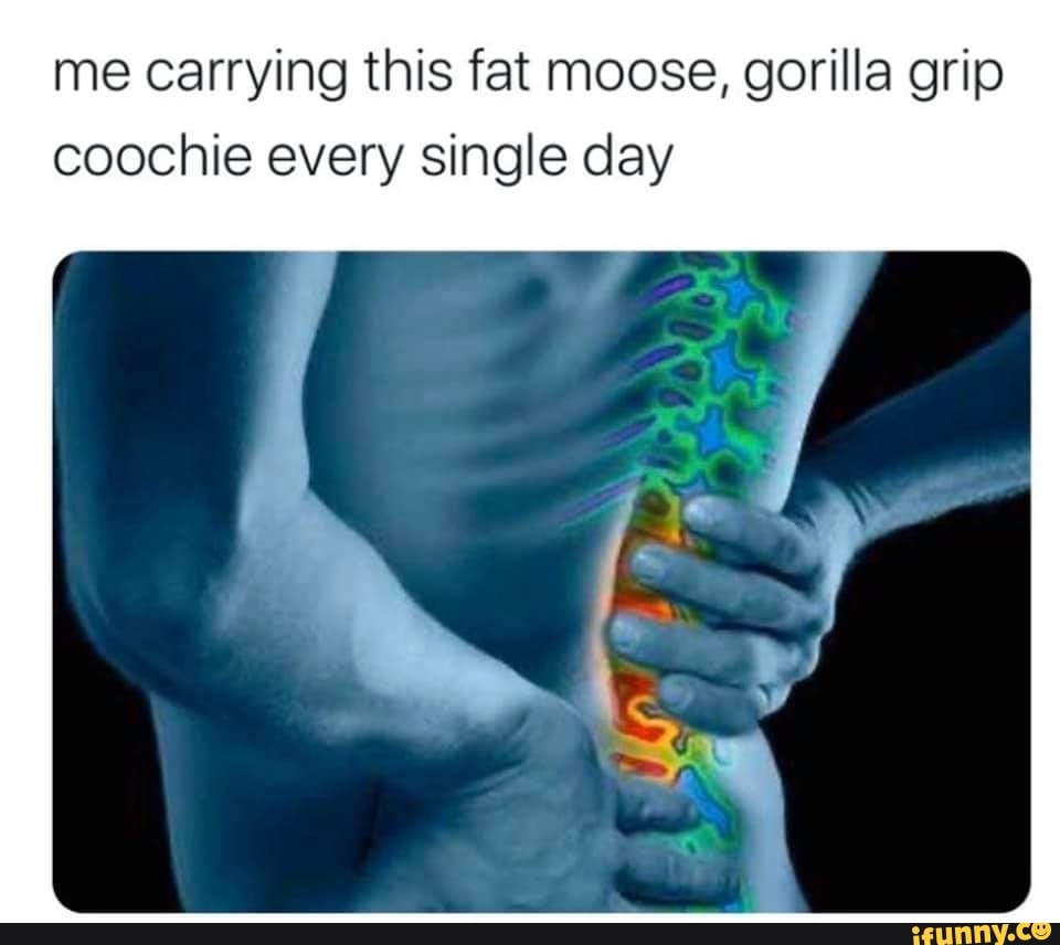 Me carrying this fat moose, gorilla grip coochie every single day - iFunny