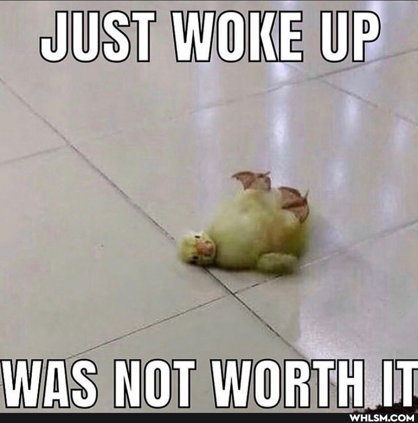 JUST WOKE UP
WOS NAT WORTH IT