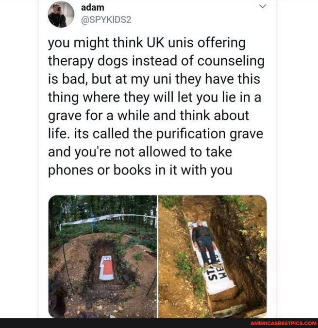adam
@SPYKIDS2 you might think UK unis offering therapy dogs instead of counseling is bad, but at my uni they have this thing where they will let you lie in grave for a while and think about life. its called the purification grave and you're not allowed to take phones or books in it with you