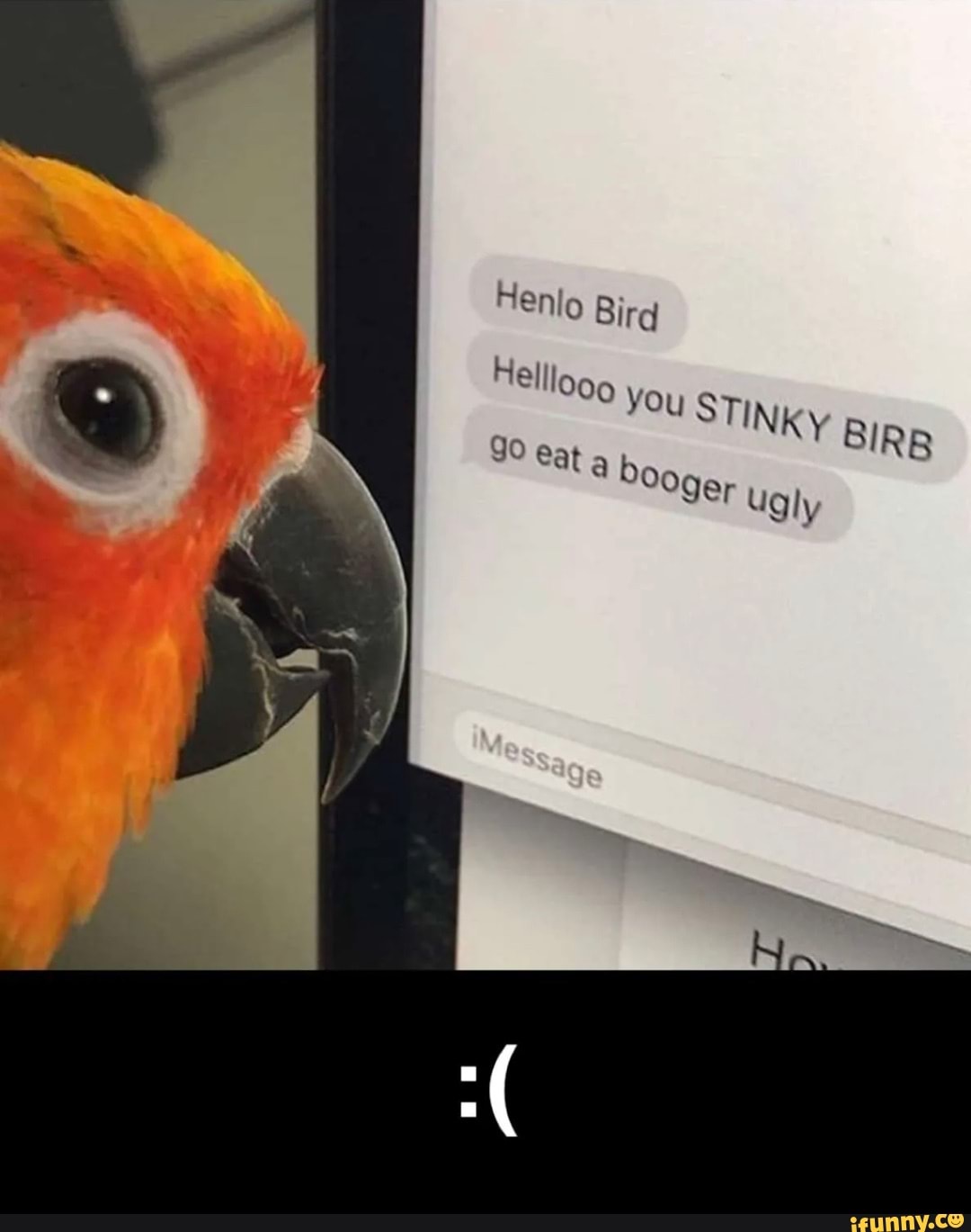 Henig Bird HBlilogg you STINK Y IRS eat booge, Ugly - iFunny