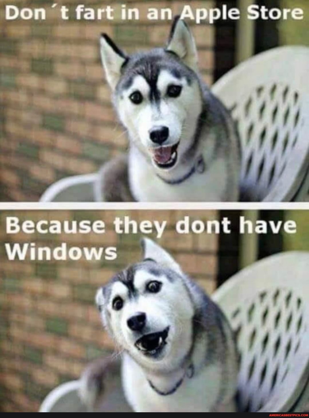 core 't Part, an Agicle Store
Because they dont have
Windows