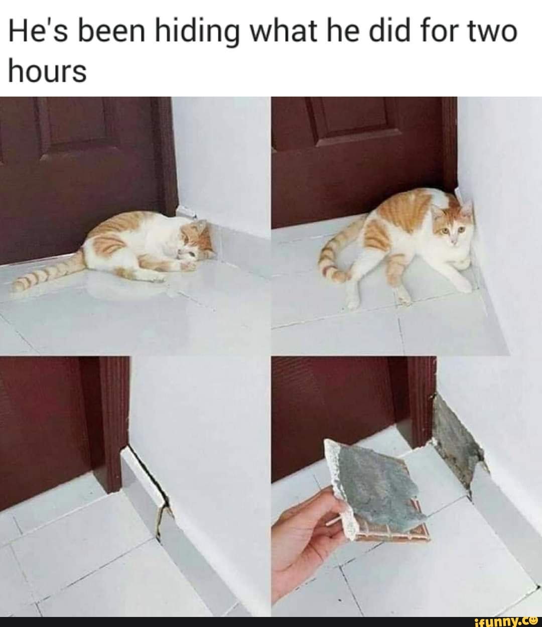 He S Been Hiding What He Did For Two Hours Ifunny He S Been Hiding What He Did For Two Hours Ifunny