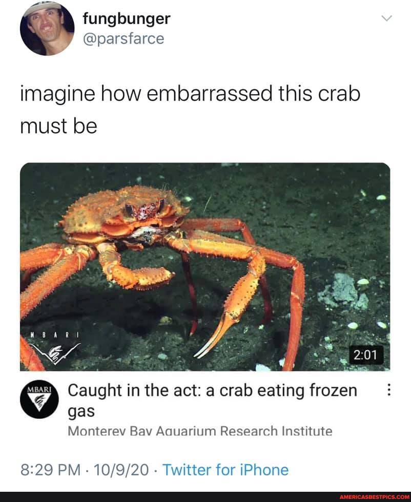 @parsiarce
imagine how embarrassed this crab must be
Caught in the act: a crab eating frozen gas
Monterev Bav Aquarium Research Institute
PM - - Twitter for iPhone