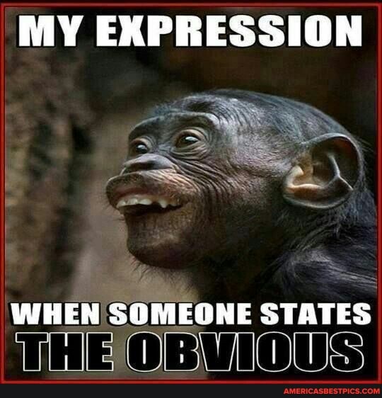 MY EXPRESSION
WHEN SOMEONE STATES
OBVIOUS