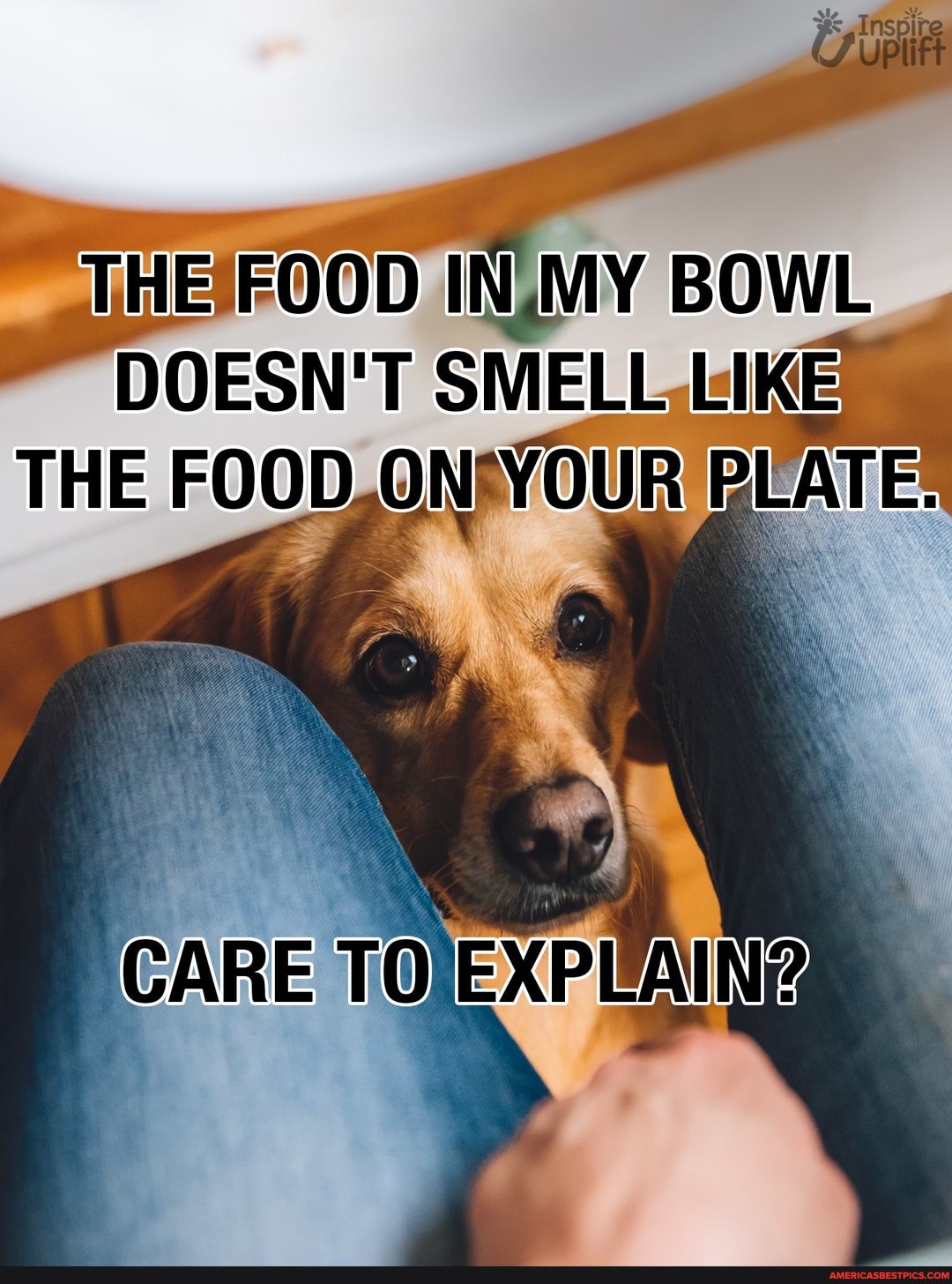 While FOOD WAY DOESN'T SMELL ite
FOOD ON OUR
CARE
VO PUANING