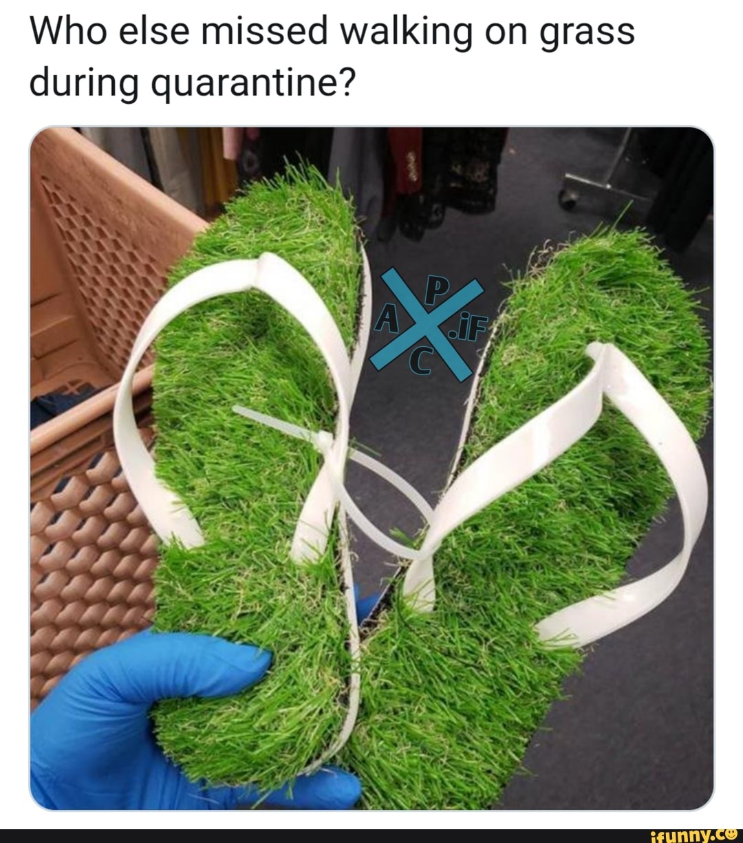 Who else missed walking on grass
during quarantine?