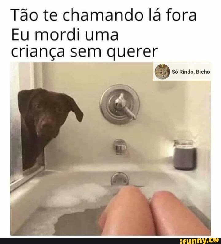 Tão te chamando lá fora
Eu mordi uma
criança sem querer