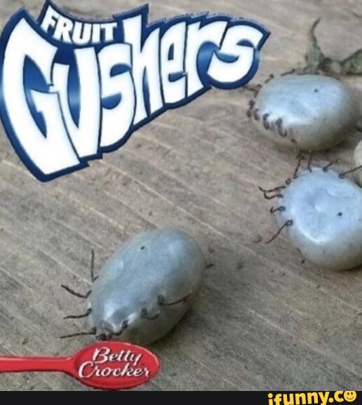 Gushers memes. Best Collection of funny Gushers pictures on iFunny