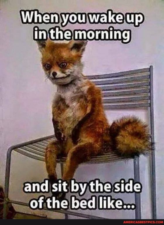 When you wake up in the morning
arid sit the by the side like by
like
ay the