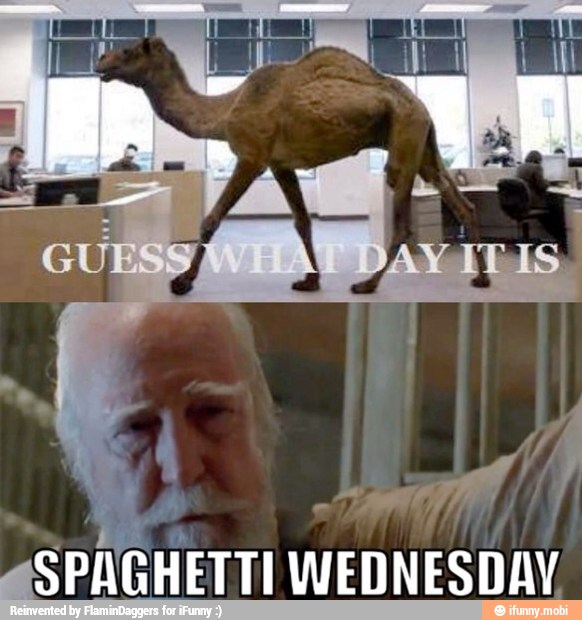 men
"SPAGHETTI WEDNESDAY