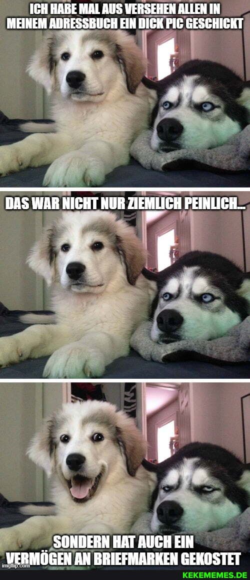 ICH HABE MAL AUS VERSEHEN ALLEN IN MEINEM ADRESSBUCH EIN DIGK PIG GESCHIGKT
DAS WAR NICHT NUR ZIEMLICH PEINLICH...
SONDERN HAT AUCH EIN
VEDSAÖNEN AM DDIEEMADUEU NIUNGETTT