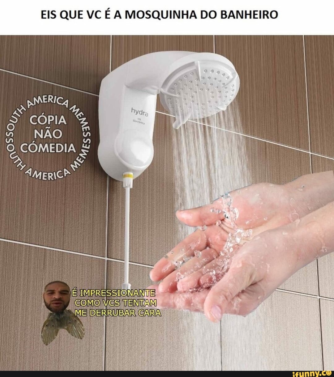 EIS QUE VC É A MOSQUINHA DO BANHEIRO